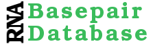 RNA Base Pair Database